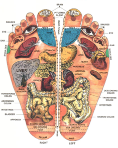 Sexual Foot Pressure Points Chart