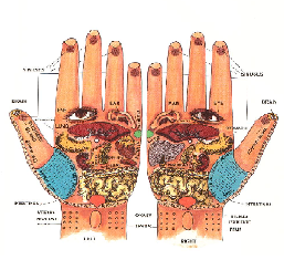 Reflexology Hand Map Chart