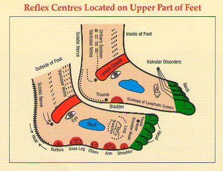 Chart For Foot Reflexology Points