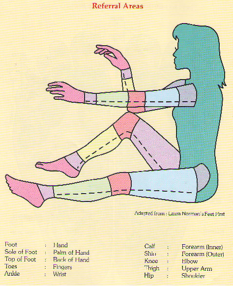 Reflexology Chart Ankle Area